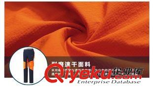 公版專區 雷騰 2015春夏季戶外速干褲男款修身時尚長褲運動登山快干褲342