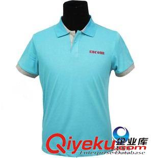 廣告翻領T恤 外貿男式T恤POLO衫定制 品牌男裝短袖廣告T恤 廣告衫 文化衫定做