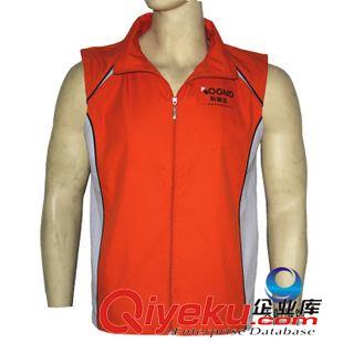 常規(guī)雙層馬甲 廣告馬甲背心定做 校慶廠慶企業(yè)文化馬甲定制 拼接撞色促銷馬夾原始圖片2