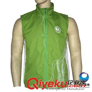 常規(guī)雙層馬甲 女式廣告馬甲背心定制 促銷志愿者文化馬甲 立領(lǐng)工作馬甲背心定做原始圖片2