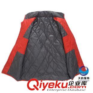 羽絨棉風(fēng)衣 廠家定做間棉加厚保暖休閑男式棉衣外套 廣告棉衣定制 羽絨服定做原始圖片3