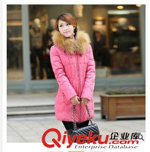 女裝 羽絨服  廠家直銷(xiāo)滌綸塔夫綢時(shí)尚羽絨服加厚潮流gd羽絨原裝zp搭配套餐