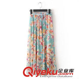 半身裙 2014夏季新款女裝 雪紡印花半身裙 波西米亞半身長裙沙灘裙 B6原始圖片3