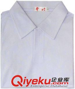 耐穿型工作服 廣州服裝廠(chǎng)純色短袖polot恤 空白t恤廣告衫現(xiàn)貨 純色t恤加工壓縮