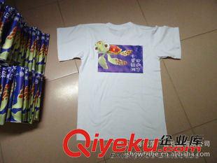 PU數(shù)碼燙畫(huà) 快速加工純棉t恤彩色燙畫(huà)包工包料原始圖片2