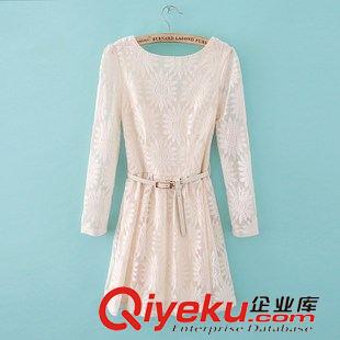 熱賣推薦 歐美爆款 太陽(yáng)花蕾絲后深V拉鏈修身連衣裙蕾絲裙15-11111原始圖片2