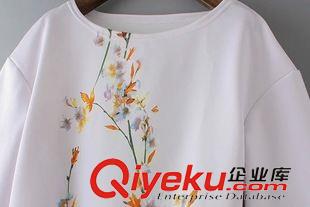 15-6月26-30 歐美風(fēng)個性時尚新款 女士清新花草印花喇叭袖襯衫上衣24BJ-6.470