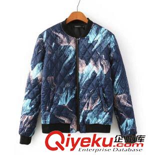 棉衣/棉服 森女系秋冬新款 甜美刺繡小貓連帽中長款加絨保暖棉衣11B-12.139