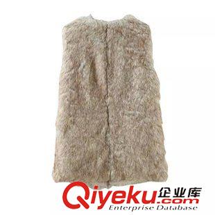皮衣/皮草 歐洲站2015秋冬女裝新款開衫 仿皮草百搭無袖暗扣馬甲1JQ-9.301