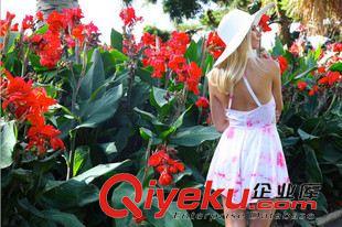 7.17號新款 速賣通EBAY 外貿(mào)2015時尚爆款百搭菱形網(wǎng)狀V領印花吊帶連體褲裙原始圖片3