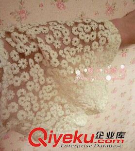 5.7號新款 2015外貿(mào)韓版春秋新款甜美蕾絲勾花鏤空透視連衣裙+小吊帶2件套裝原始圖片3