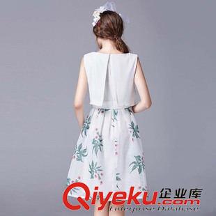 2015年6月10日 代理夏裝新品時尚歐州站無袖印花品牌女裝連衣裙淘寶代發貨源直銷原始圖片3