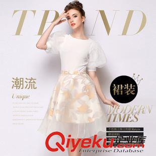 秋冬連衣裙 歐洲站2015秋季dp印花歐根紗時尚半身裙女裝一件代發(fā) 免費代理原始圖片2