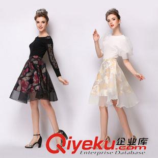 秋冬連衣裙 歐洲站2015秋季dp印花歐根紗時尚半身裙女裝一件代發(fā) 免費代理原始圖片3