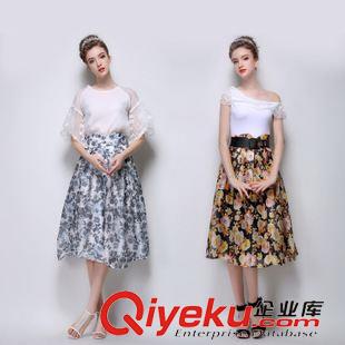 中長(zhǎng)裙 2015秋季新款歐洲站時(shí)尚大牌氣質(zhì)花朵半身裙潮流修身百搭蓬蓬裙原始圖片3