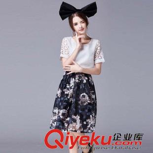 精品 2015模特實(shí)拍大碼女裝新款歐美圓領(lǐng)短袖縷空印花雪紡大擺型連衣裙原始圖片3