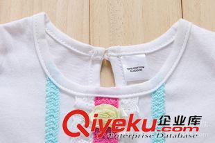 女童裙 2015爆款童裝 0－3女童純棉花裙 外貿(mào)童裝貨源 童裝批發(fā)原始圖片3