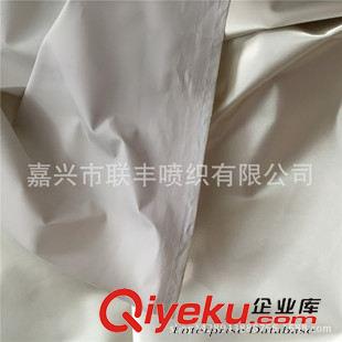 色丁 紡織廠優(yōu)質(zhì)直銷 滌綸布50D*75D有光色丁PVC壓延 手袋兒童書(shū)包面料