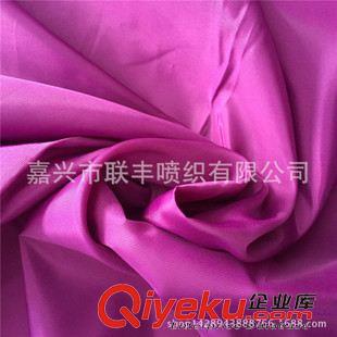 箱包里料 供應 290T滌塔夫PA透明涂層塔夫綢 童裝羽絨服棉衣夾克滌絲紡面料