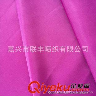 箱包里料 供應 290T滌塔夫PA透明涂層塔夫綢 童裝羽絨服棉衣夾克滌絲紡面料
