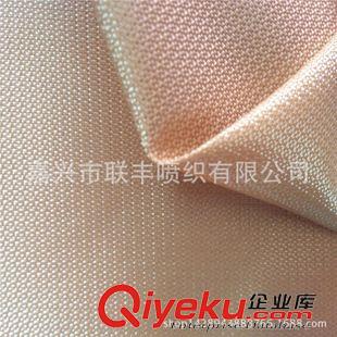 箱包面料 生產(chǎn)供應(yīng) 防水牛津布 300D提花牛津紡 文件袋鞋子收納布衣柜面料原始圖片2
