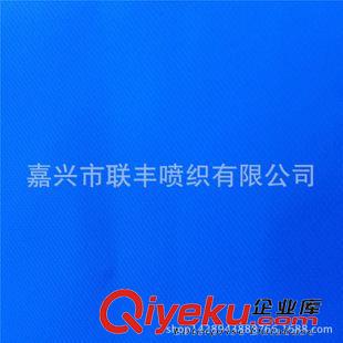 尼絲紡 優(yōu)質(zhì)供應(yīng) 半光消光尼龍 輕薄透氣 防紫外線 速干衣、防曬衣面料原始圖片3