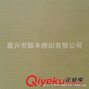 尼絲紡 源產(chǎn)地直銷 尼龍回字格 消光尼絲紡 70D 戶外野營(yíng)帳篷吊床面料原始圖片2