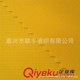 尼絲紡 源產(chǎn)地直銷 尼龍回字格 消光尼絲紡 70D 戶外野營(yíng)帳篷吊床面料原始圖片3