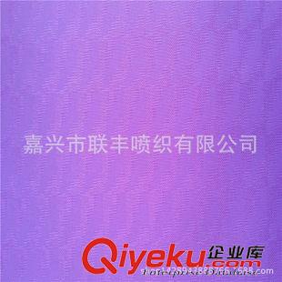 雨衣面料 優質供應 310T消光370T半光265T閃光325T尼絲紡復合斜尼龍布原始圖片2