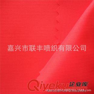 塔絲隆 供應(yīng)戶外功能性運(yùn)動(dòng)服裝面料 消光尼龍塔絲隆 228T 320D 提花格子原始圖片3