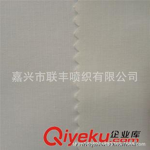 塔絲隆 供應320D滌綸塔絲隆 228T塔絲綸提花 保暖透氣戶外功能性服裝面料原始圖片3