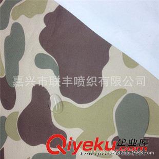 塔絲隆 供應320D滌綸塔絲隆 228T塔絲綸提花 保暖透氣戶外功能性服裝面料