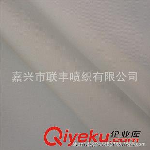塔絲隆 廠家熱銷 尼龍消光塔絲隆 防寒服等戶外運動功能性服裝面料