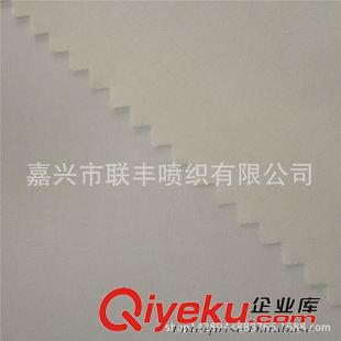 塔絲隆 尼龍塔絲隆 專業廠家供應 閃光 平織 優質服裝面料 戶外運動原始圖片2
