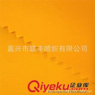 塔絲隆 尼龍塔絲隆 專業廠家供應 閃光 平織 優質服裝面料 戶外運動原始圖片3