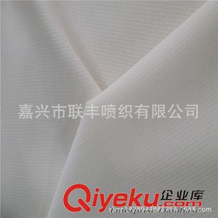 塔絲隆 廠家熱銷 尼龍消光塔絲隆 防寒服等戶外運動功能性服裝面料