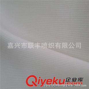 塔絲隆 廠家熱銷 尼龍消光塔絲隆 防寒服等戶外運動功能性服裝面料原始圖片2