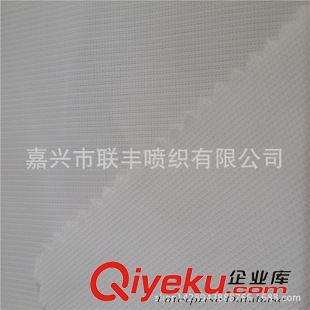塔絲隆 廠家熱銷 尼龍消光塔絲隆 防寒服等戶外運動功能性服裝面料原始圖片3