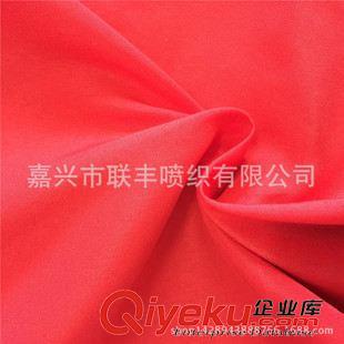 塔絲隆 廠家熱銷 尼龍消光塔絲隆 防寒服等戶外運動功能性服裝面料