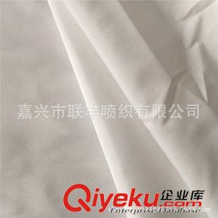 仿記憶 優(yōu)質(zhì)紡織廠直銷  75D緯捻仿記憶  女士風衣羽絨服男士夾克衫面料原始圖片3