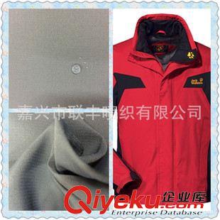 小提花 【專業(yè)春亞紡廠家】240T格子春亞紡0.2雙線格75D  2015熱銷面料原始圖片2