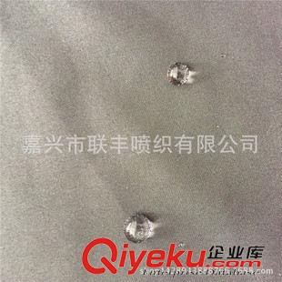 小提花 熱門產(chǎn)品 滌綸300T半光平紋春亞紡  棉衣羽絨服夾克戶外服面料原始圖片2