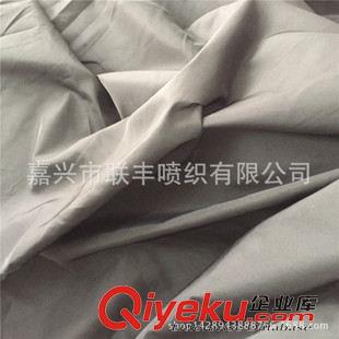 小提花 熱門產(chǎn)品 滌綸300T半光平紋春亞紡  棉衣羽絨服夾克戶外服面料原始圖片3