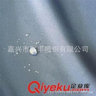 小提花 專業(yè)春亞紡廠家 提花春亞紡消光米字格  沖鋒衣運動服夾克面料
