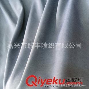 小提花 防潑水消光春亞紡米通格 沖鋒衣運動服夾克面料  歡迎來樣定做原始圖片3