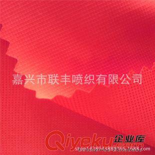 提花 直銷 50D華夫格春亞紡提花260T 戶外多功能防寒服裝面料原始圖片2