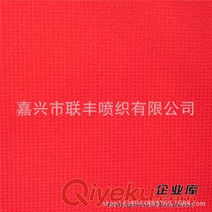 提花 直銷 50D華夫格春亞紡提花260T 戶外多功能防寒服裝面料原始圖片3