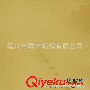 提花 240T消光春亞紡50D提花布雙線格子 羽絨服厚外套防寒服裝專用面料原始圖片3