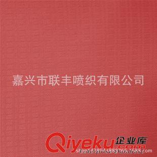 提花 廠家生產 300T消光50D春亞紡雙線格提花布 戶外防寒服褲面料原始圖片2