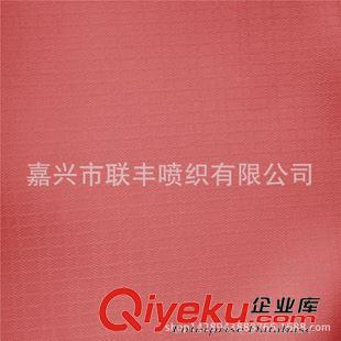 提花 廠家生產 300T消光50D春亞紡雙線格提花布 戶外防寒服褲面料原始圖片3